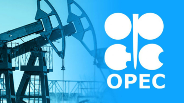 OPEC+ may be facing long-term production cuts