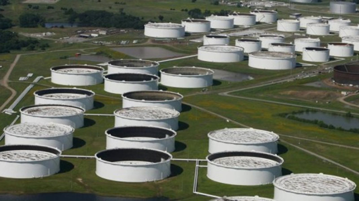 Oil steady despite crude inventory build