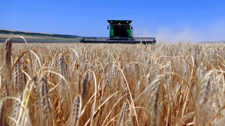 Moscow halts grain deal. It's no good news