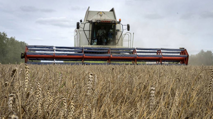 End of grain deal won't cause food crisis thanks to Russia's supplies