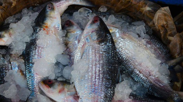 Indian fish traders request Bangladesh to export hilsa fish