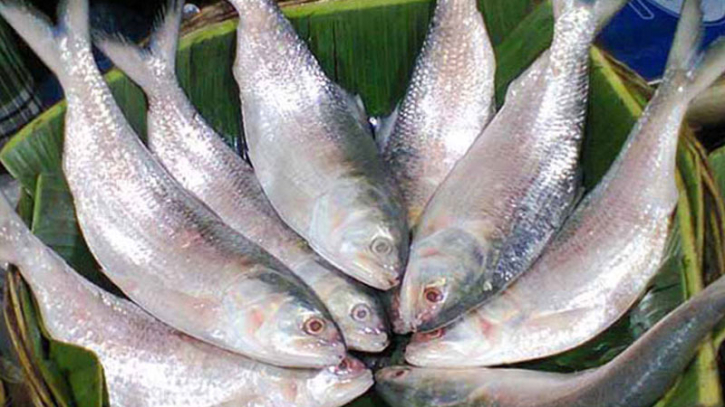 Bangladesh to export 3,000 MTs of hilsa to India