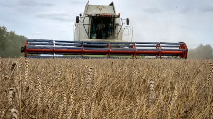 Russia's export duty on wheat to rise $30.43 per metric ton